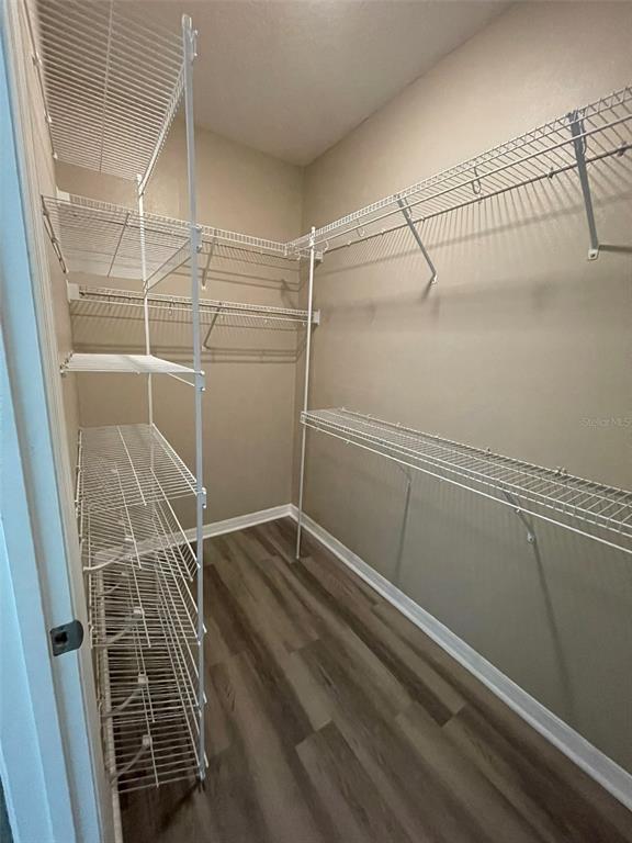 12072 White Wave Point Orlando, FL 32828 - Photo 13 of 18