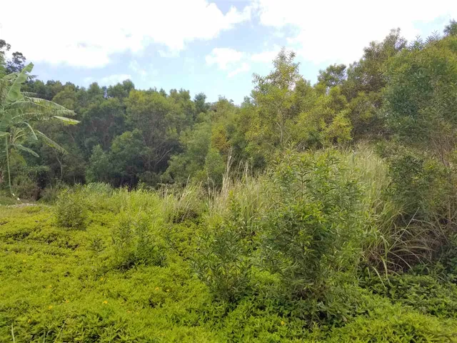 $130,000 | 2108 Akeu Way, Kualapuu, HI 96757