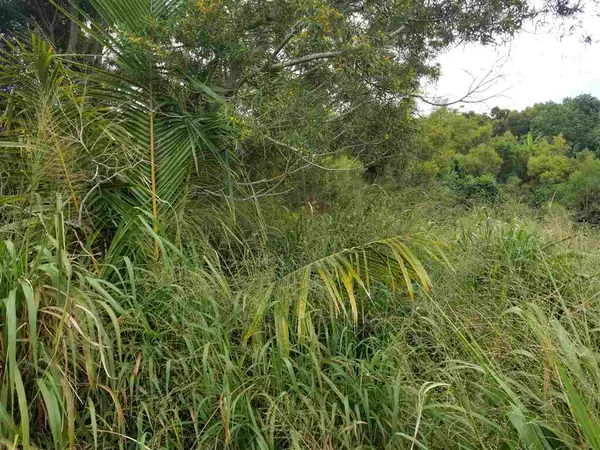 $130,000 | 2108 Akeu Way, Kualapuu, HI 96757