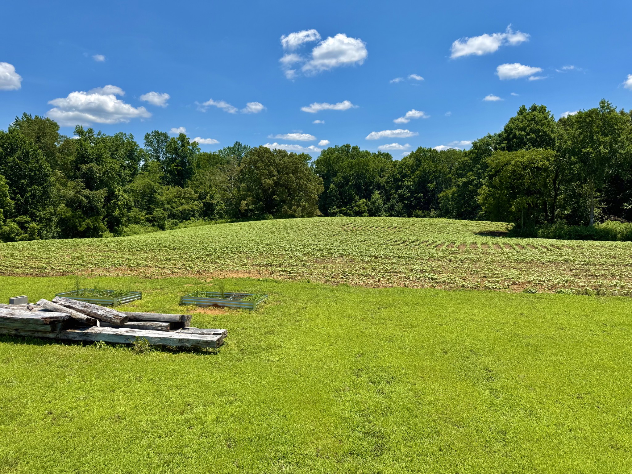 8 Lambs Ferry Road Leoma, TN 38468 - Photo 50 of 53