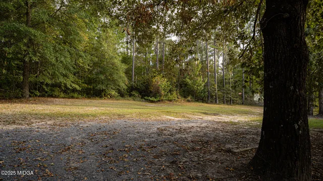 a view of a yard with a trees