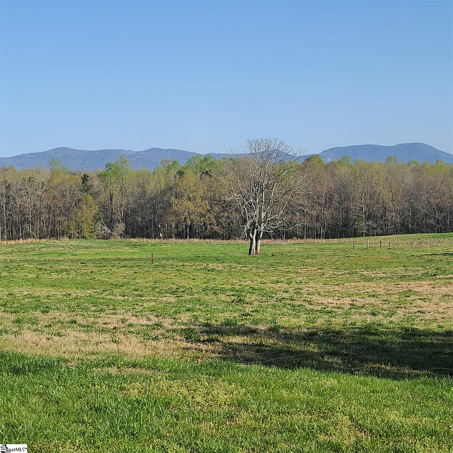 3859 Pennington Road Greer, SC 29651 - Photo 7 of 15