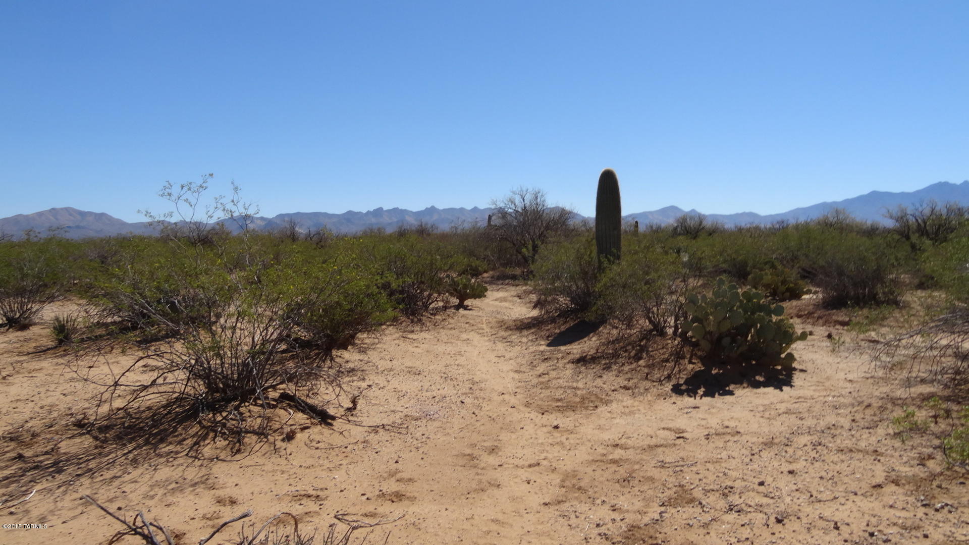 Tbd Dawson Road, Unit 67D Sahuarita, AZ 85629 - Photo 5 of 7