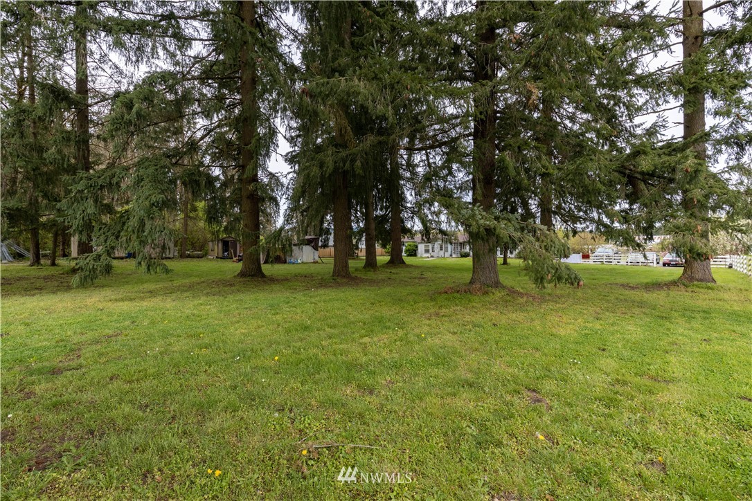 10615 School Land Road Southwest Rochester, WA 98579 - Photo 21 of 22