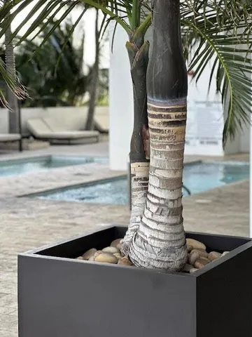 a view of swimming pool with a balcony
