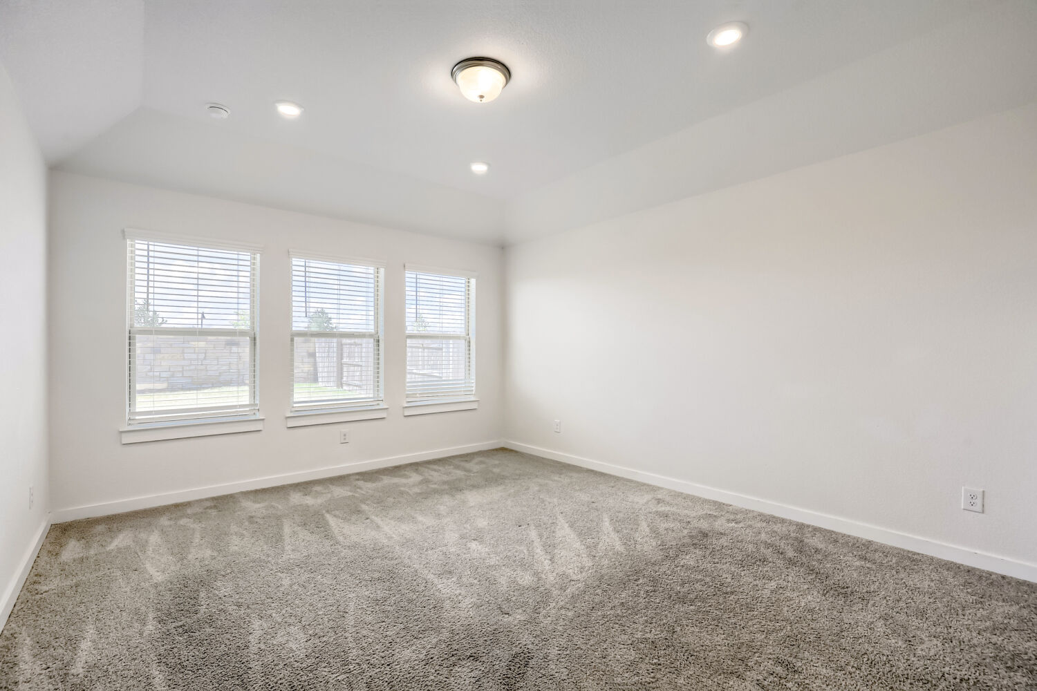 356 Brandywine Road Hutto, TX 78634 - Photo 6 of 11 A well-lit, generous interior space awaits your personal touch with soft carpeting and ample natural light.