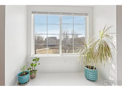 a view of a potted plant in front of a door