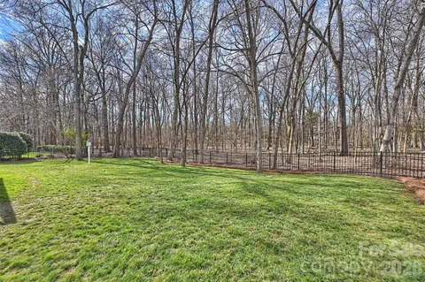 a view of a yard with a trees