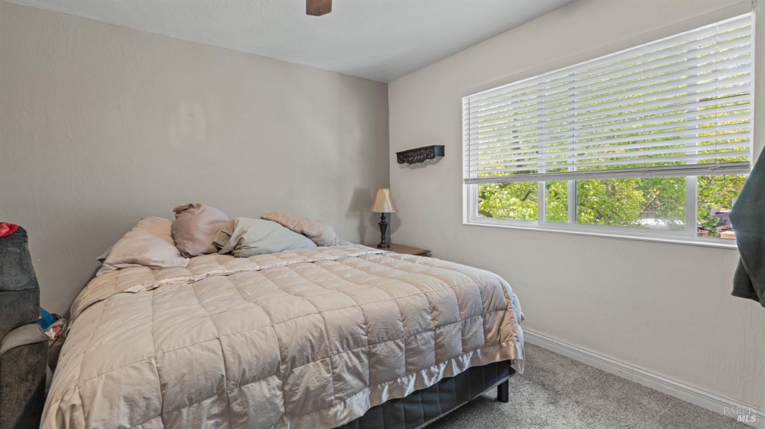 1333 Gold Way Rohnert Park, CA 94928 - Photo 13 of 20