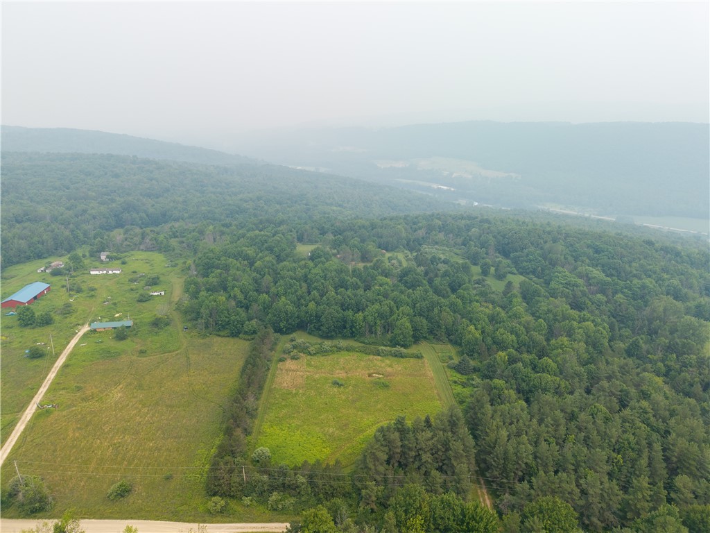 2571 Delude Road Dalton, NY 14836 - Photo 38 of 48