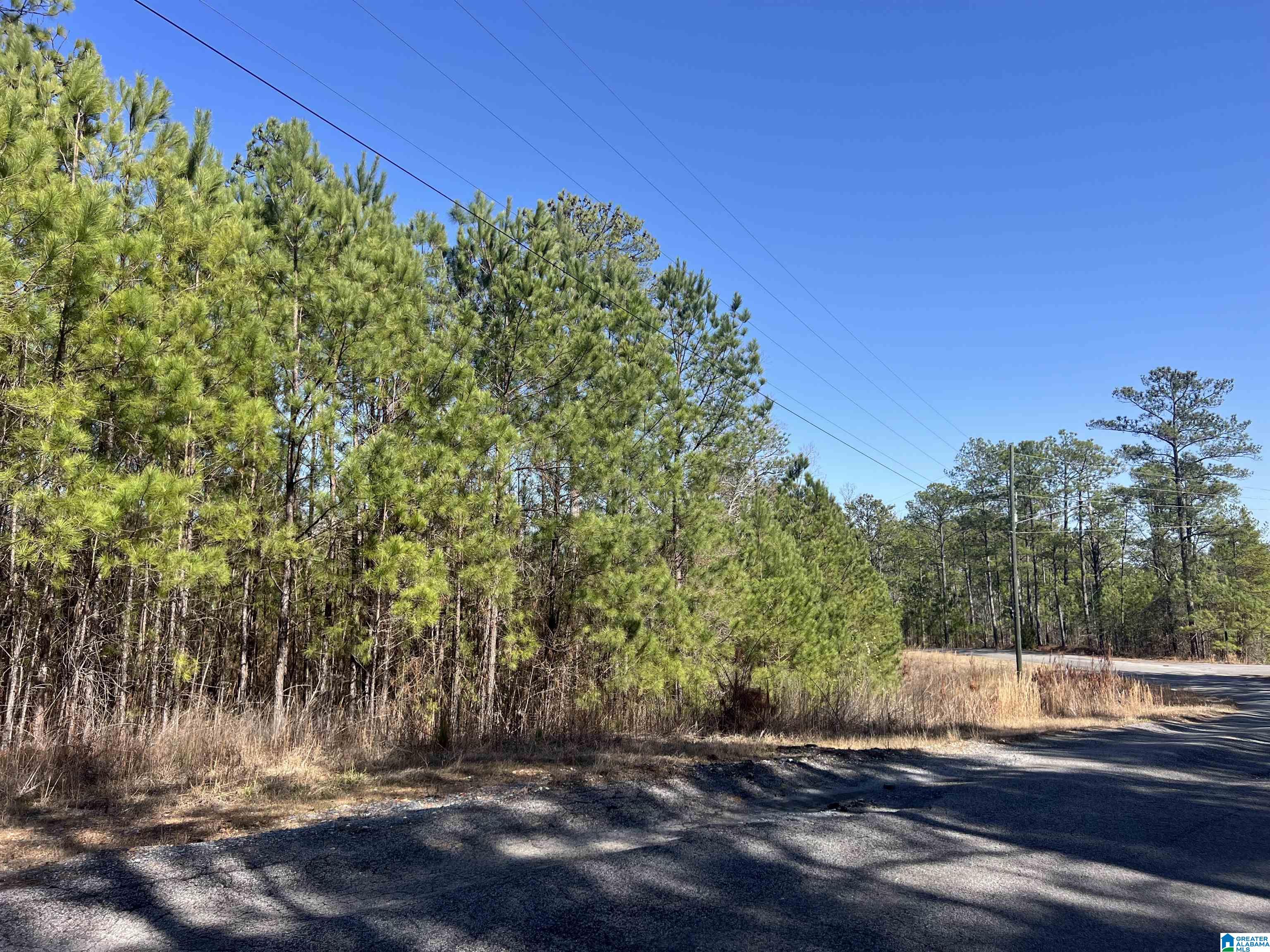 Shoreside Lane, Unit 210 Sylacauga, AL 35151 - Photo 1 of 9