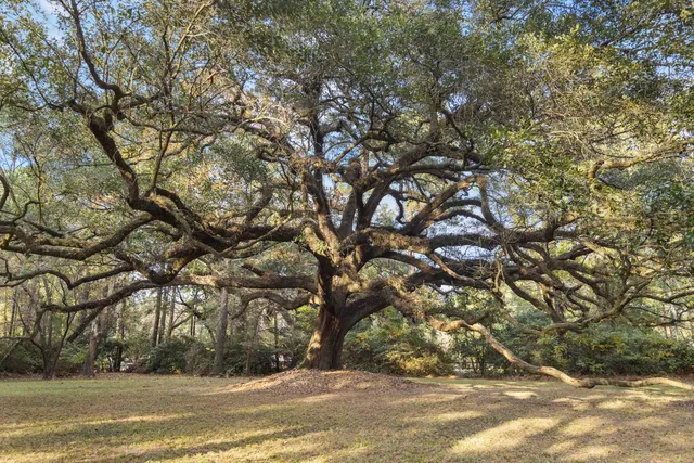 $1,150,000 | 9875 Jamison Road, Summerville, SC 29456