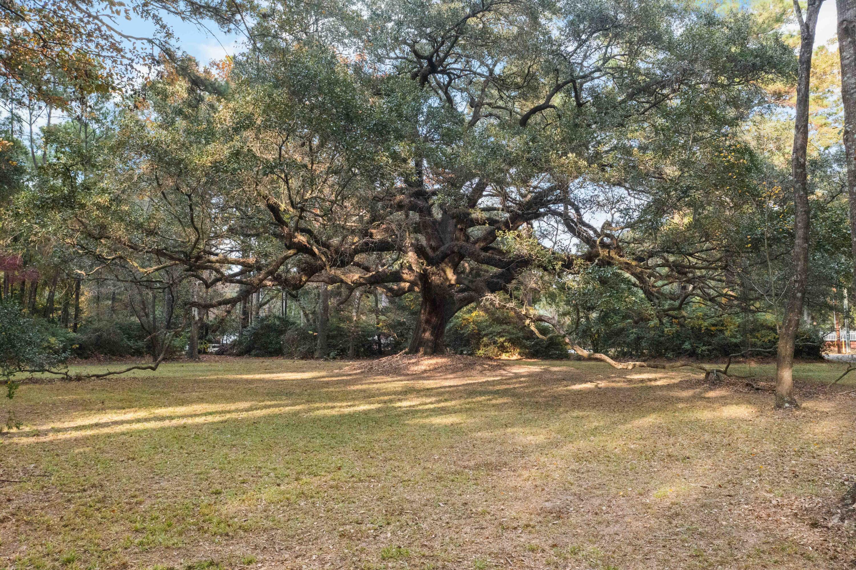 9875 Jamison Road Summerville, SC 29456 - Photo 127 of 128 DJI_0576_1