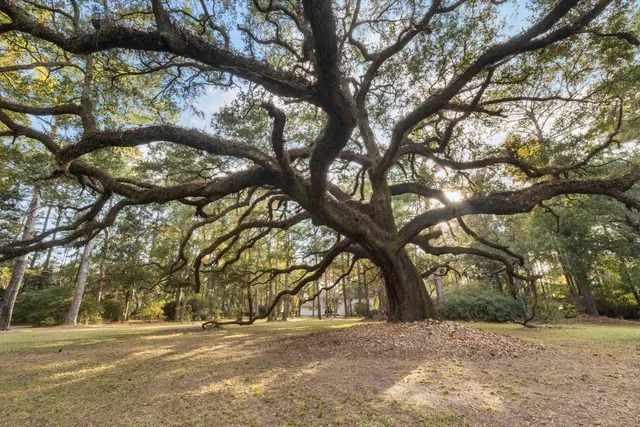 $1,150,000 | 9875 Jamison Road, Summerville, SC 29456