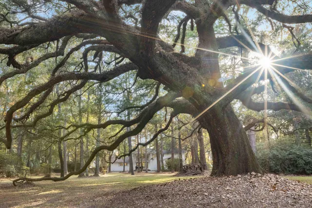 $1,150,000 | 9875 Jamison Road, Summerville, SC 29456