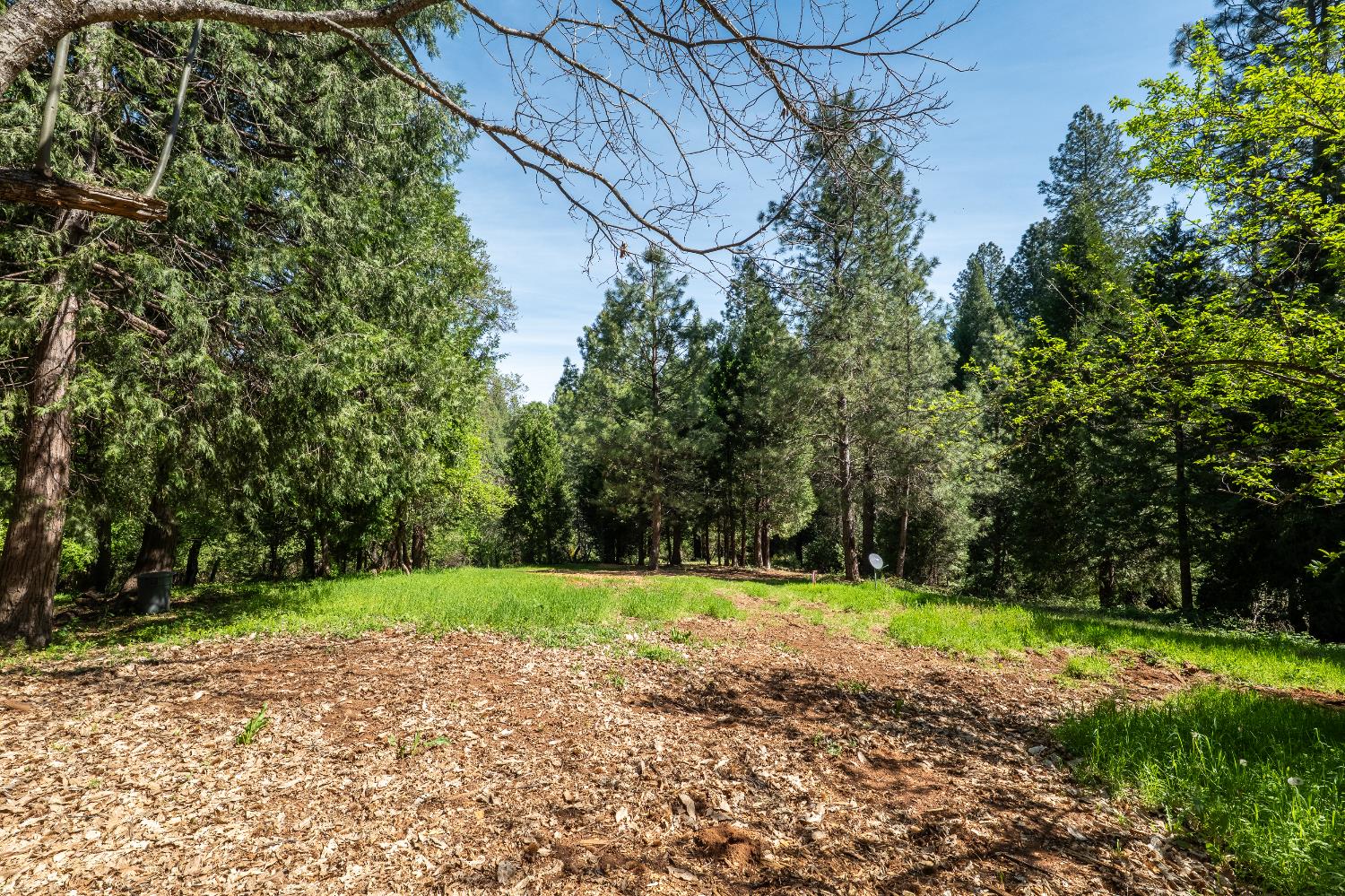 202 Gold Flat Road Nevada City, CA 95959 - Photo 1 of 1 Gallery Image 1