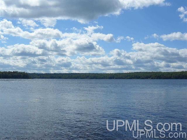 Tbd Tbd Brown Road Michigamme, MI 49861 - Photo 5 of 22
