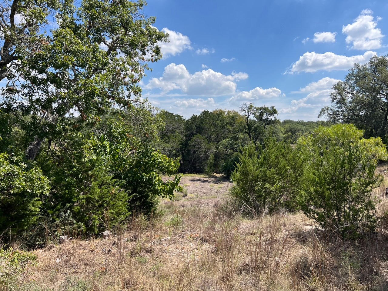992 Hines Br Road Blanco, TX 78606 - Photo 18 of 23 property slops gently to the weather creek