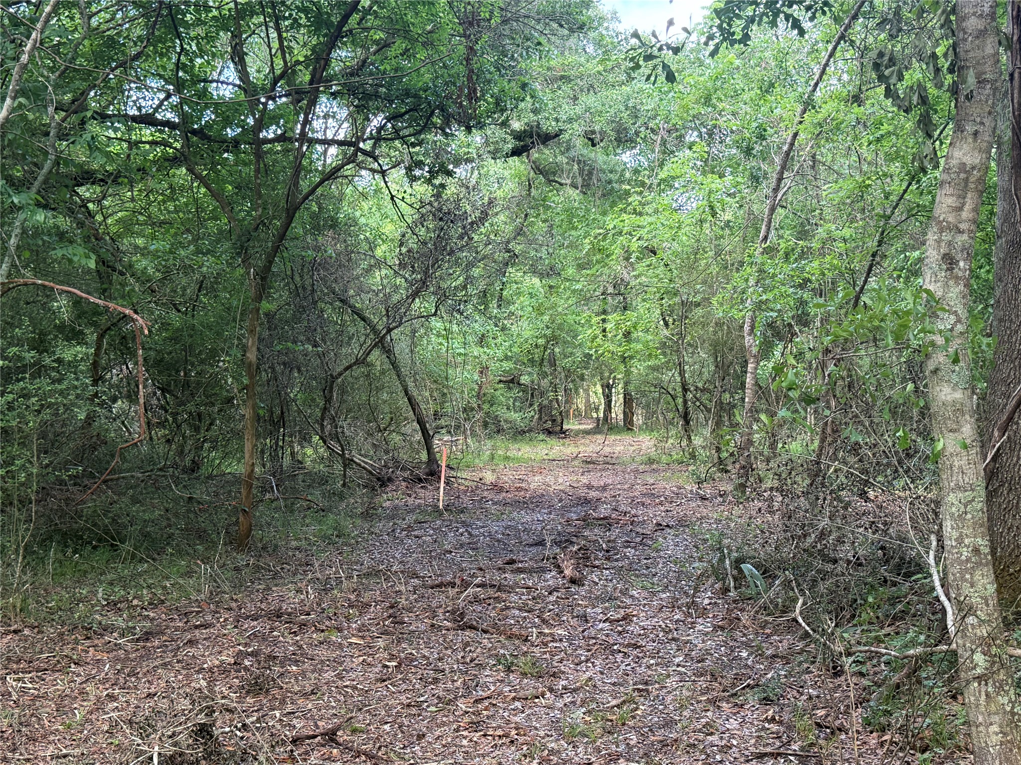 6827 Bryan Road Freeport, TX 77541 - Photo 7 of 7