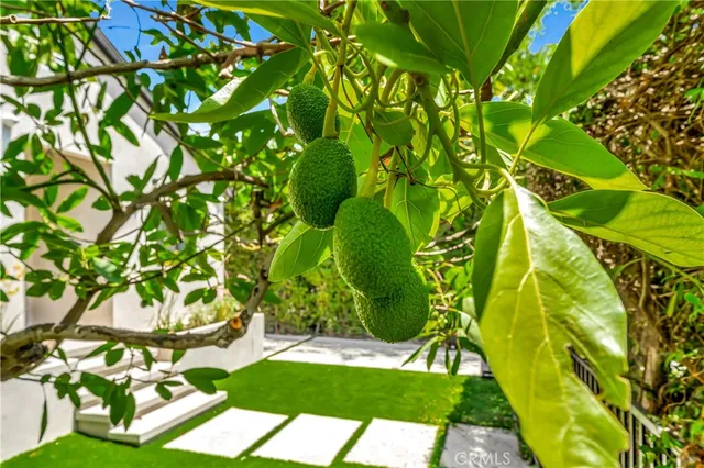 $14,000 | 6743 Colgate Avenue, Los Angeles, CA 90048