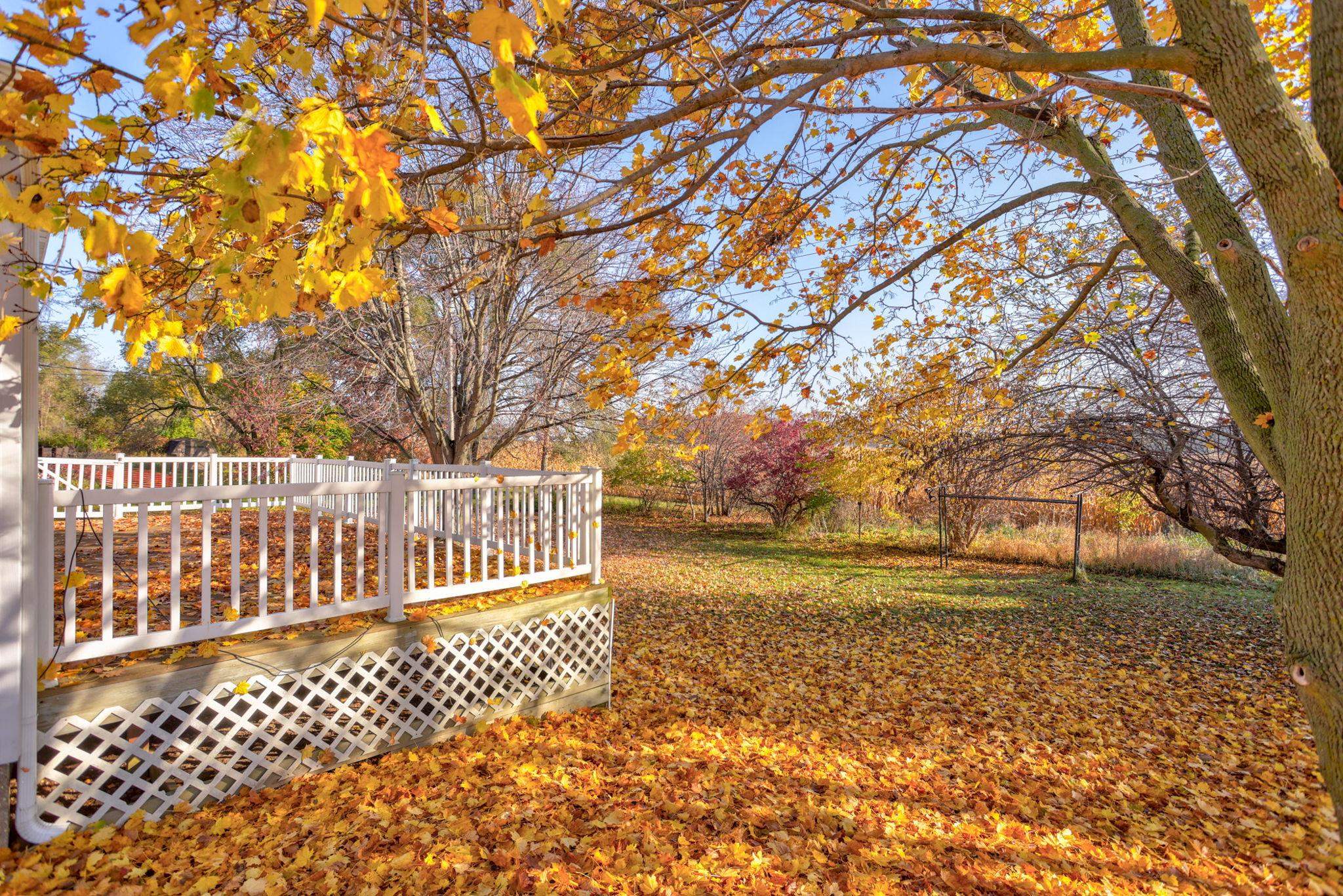 1250 Cleaver Road Caro, MI 48723 - Photo 46 of 51