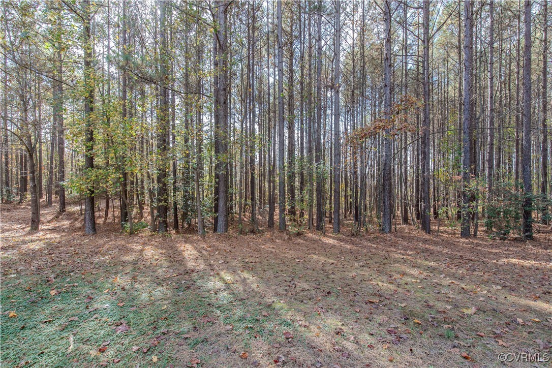 9595 Holdsworth Road Disputanta, VA 23842 - Photo 27 of 28 a view of outdoor space and yard