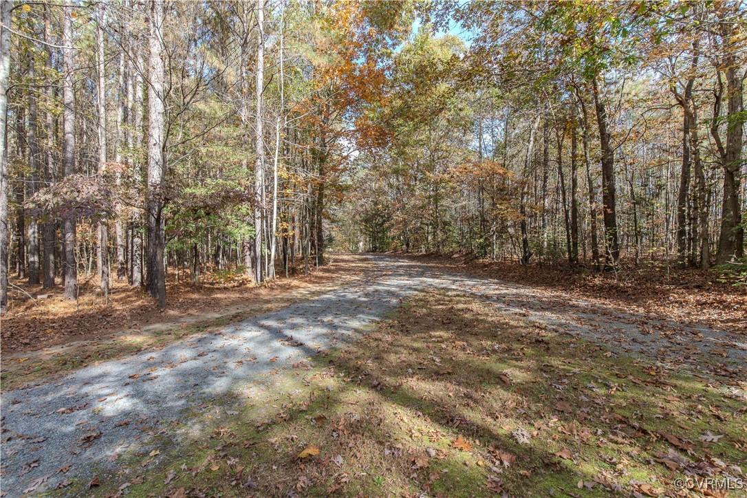 9595 Holdsworth Road Disputanta, VA 23842 - Photo 4 of 28 a view of outdoor space with trees