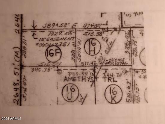 0 East Cactus Ranch Road, Unit 16F Hereford, AZ 85615 - Photo 6 of 6 Cactus Ranch plat