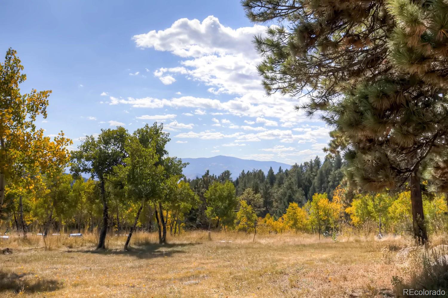 12383 South Wamblee Valley Road Conifer, CO 80433 - Photo 20 of 25 Gallery Image 20