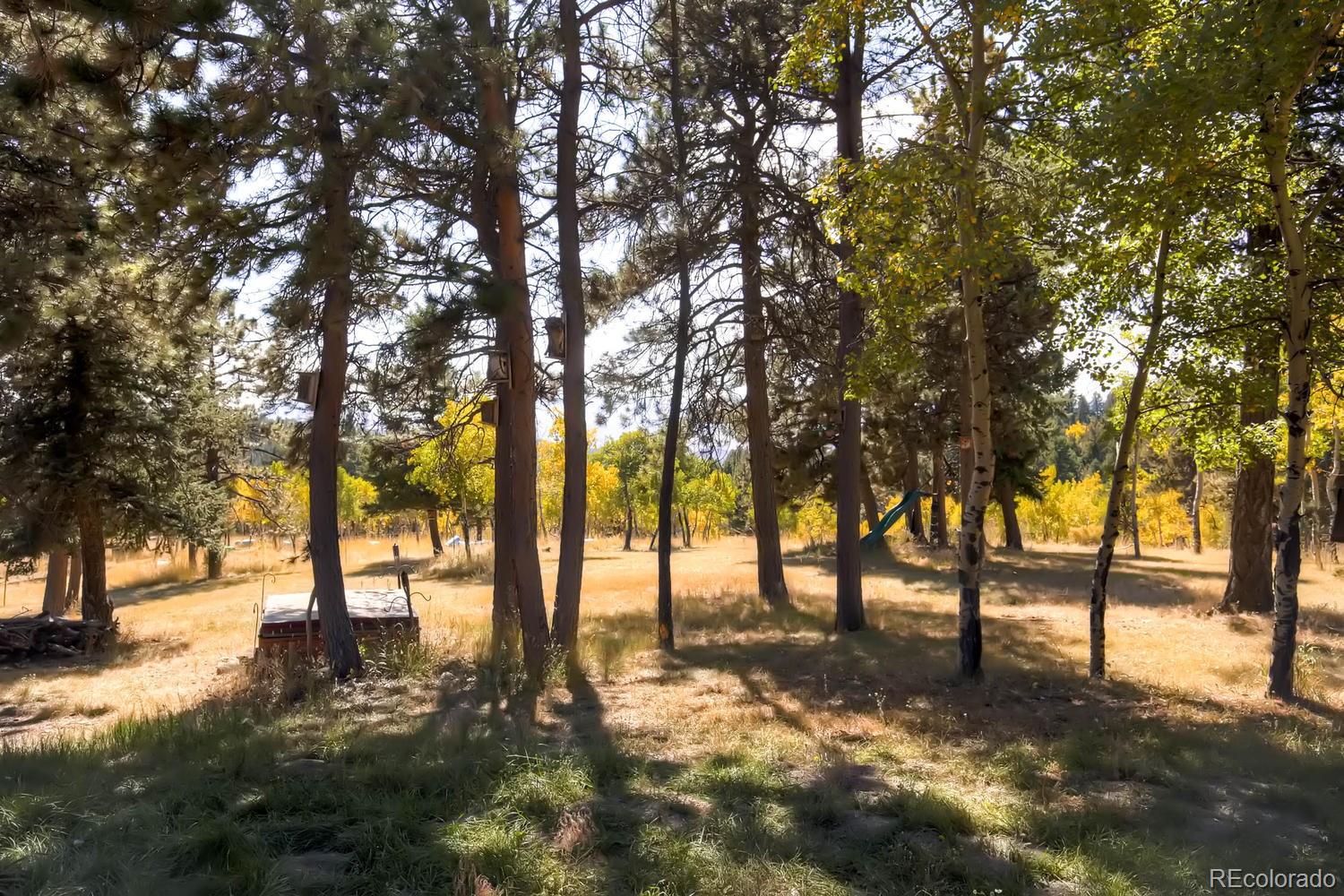 12383 South Wamblee Valley Road Conifer, CO 80433 - Photo 22 of 25 Gallery Image 22