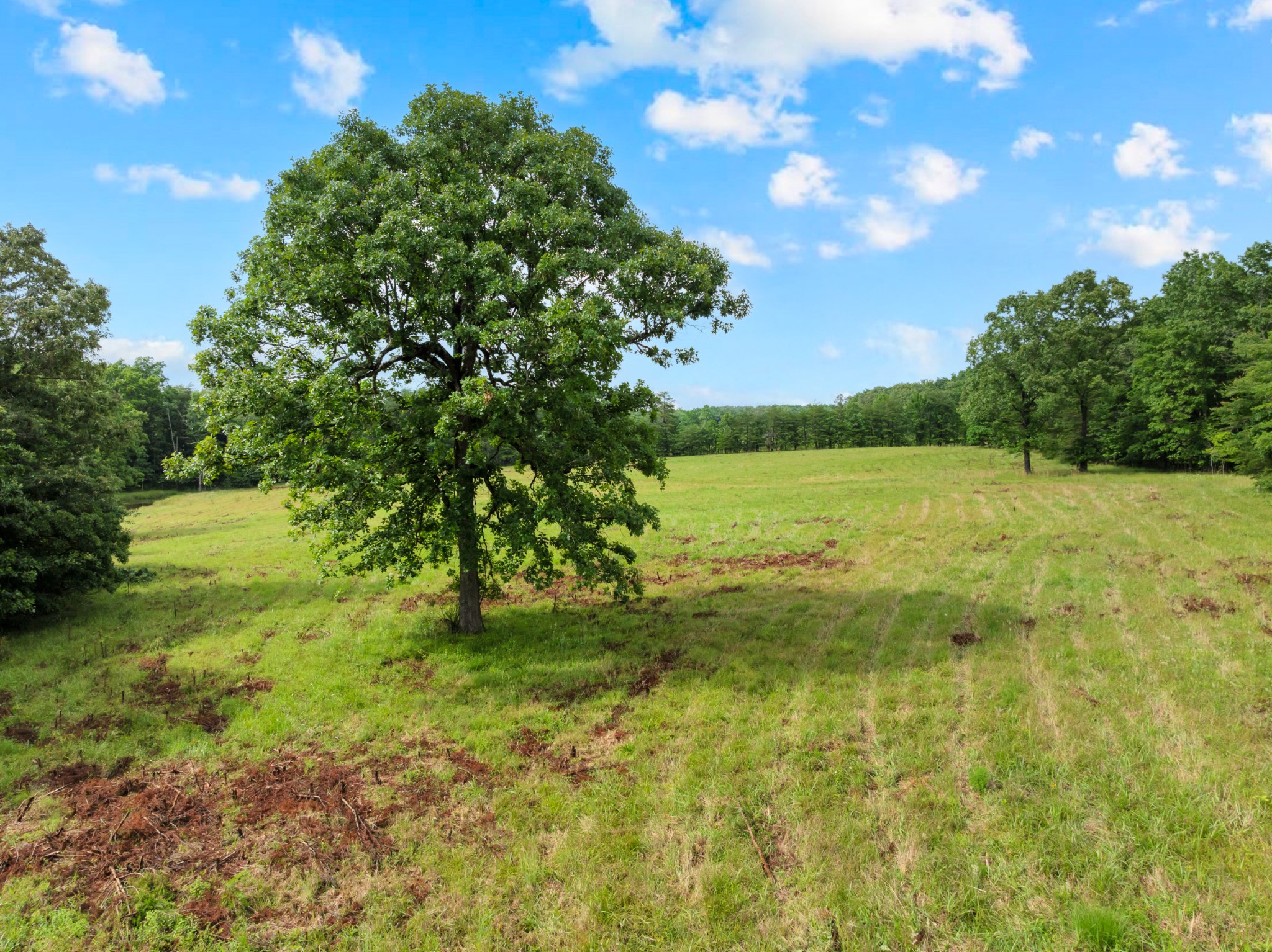 0 Salzer Mountain Road Spencer, TN 38585 - Photo 24 of 28