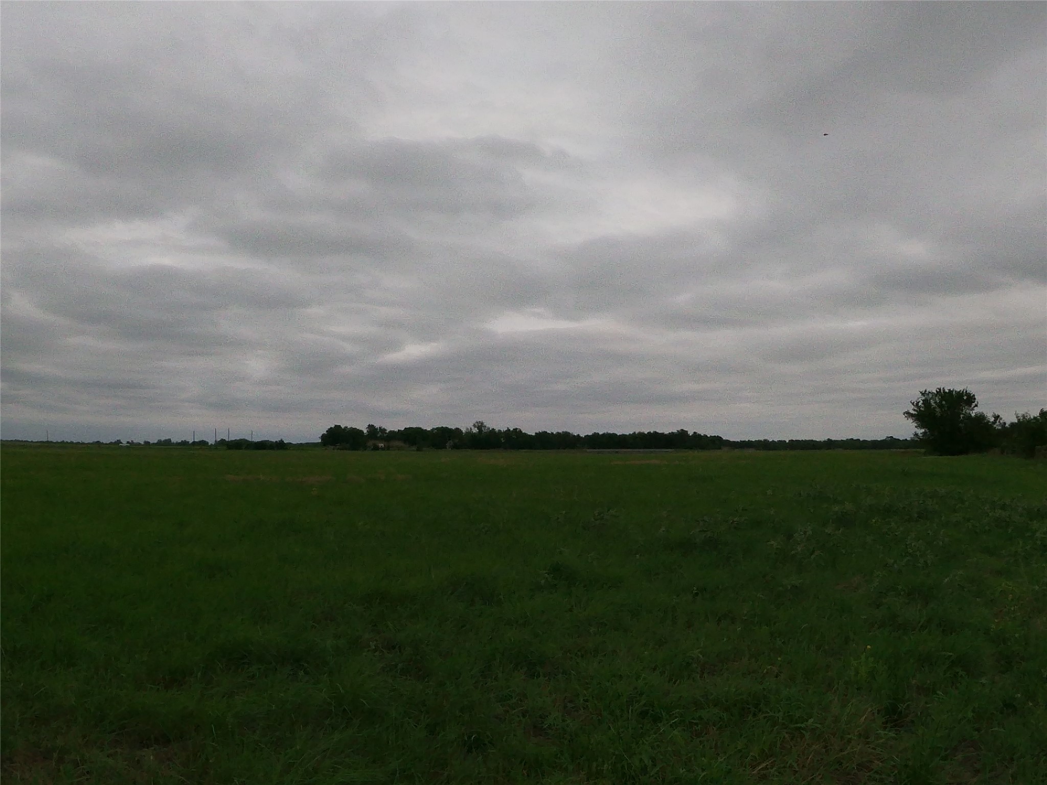 0 Fm 112 Road Thrall, TX 76578 - Photo 12 of 38 unknown