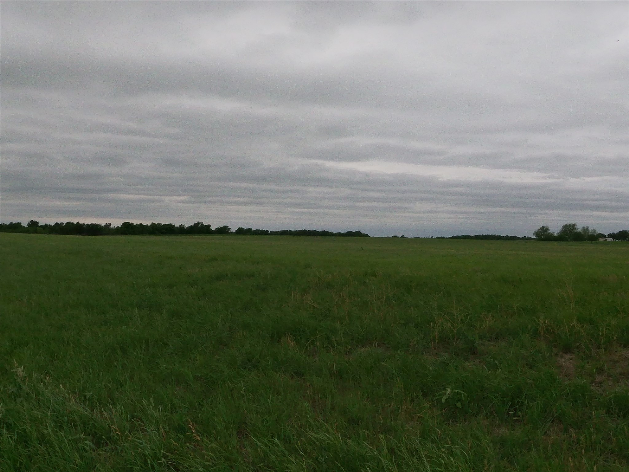 0 Fm 112 Road Thrall, TX 76578 - Photo 13 of 38 a view of yard with ocean view