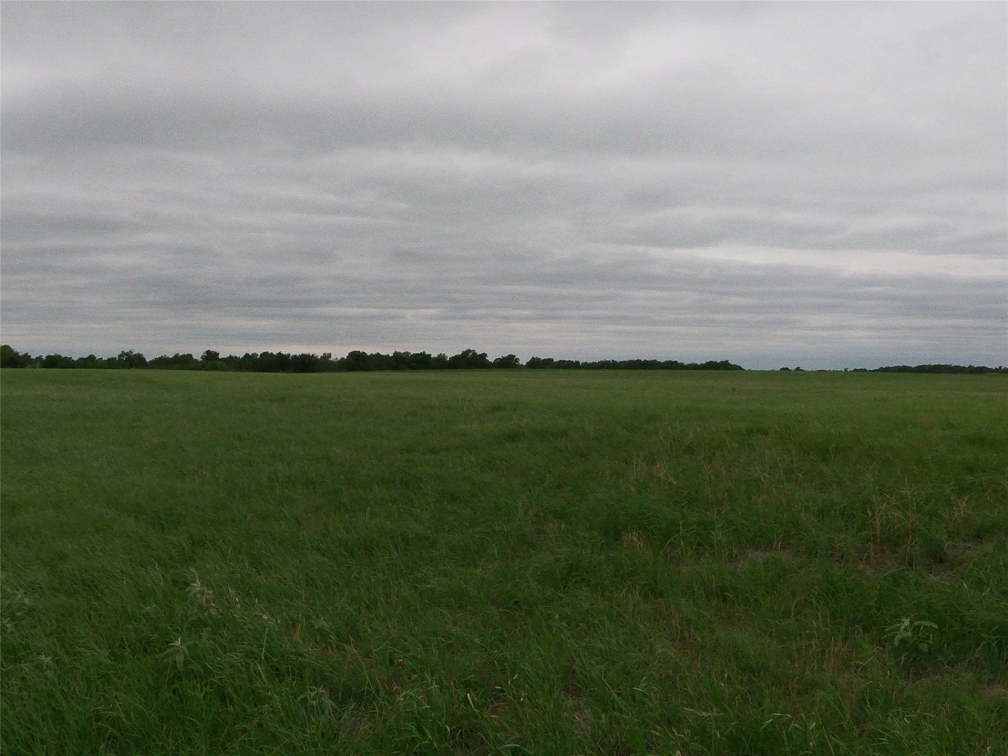0 Fm 112 Road Thrall, TX 76578 - Photo 14 of 38 a view of a field with an ocean