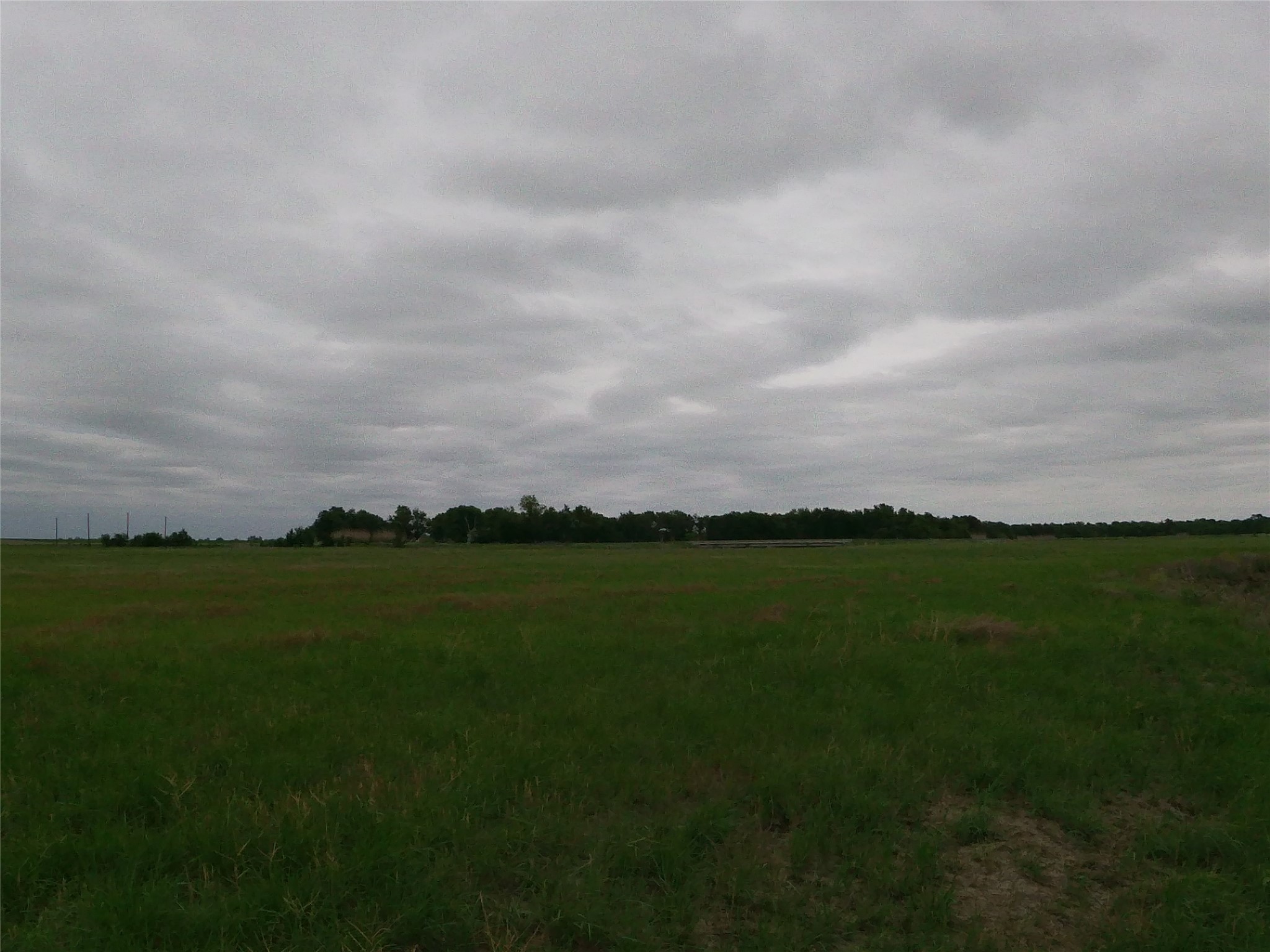 0 Fm 112 Road Thrall, TX 76578 - Photo 15 of 38 a view of a field with clear sky