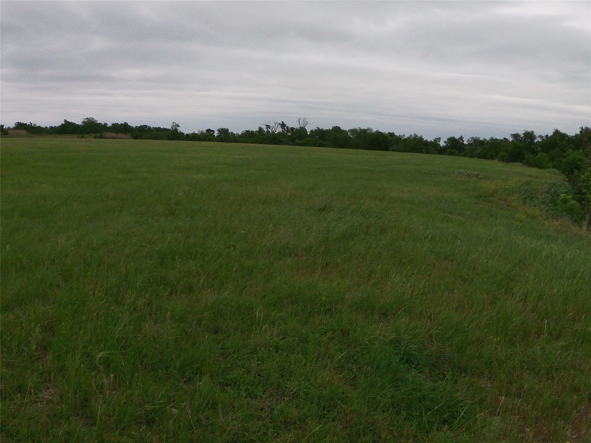 0 Fm 112 Road Thrall, TX 76578 - Photo 16 of 38 a view of a field with an ocean