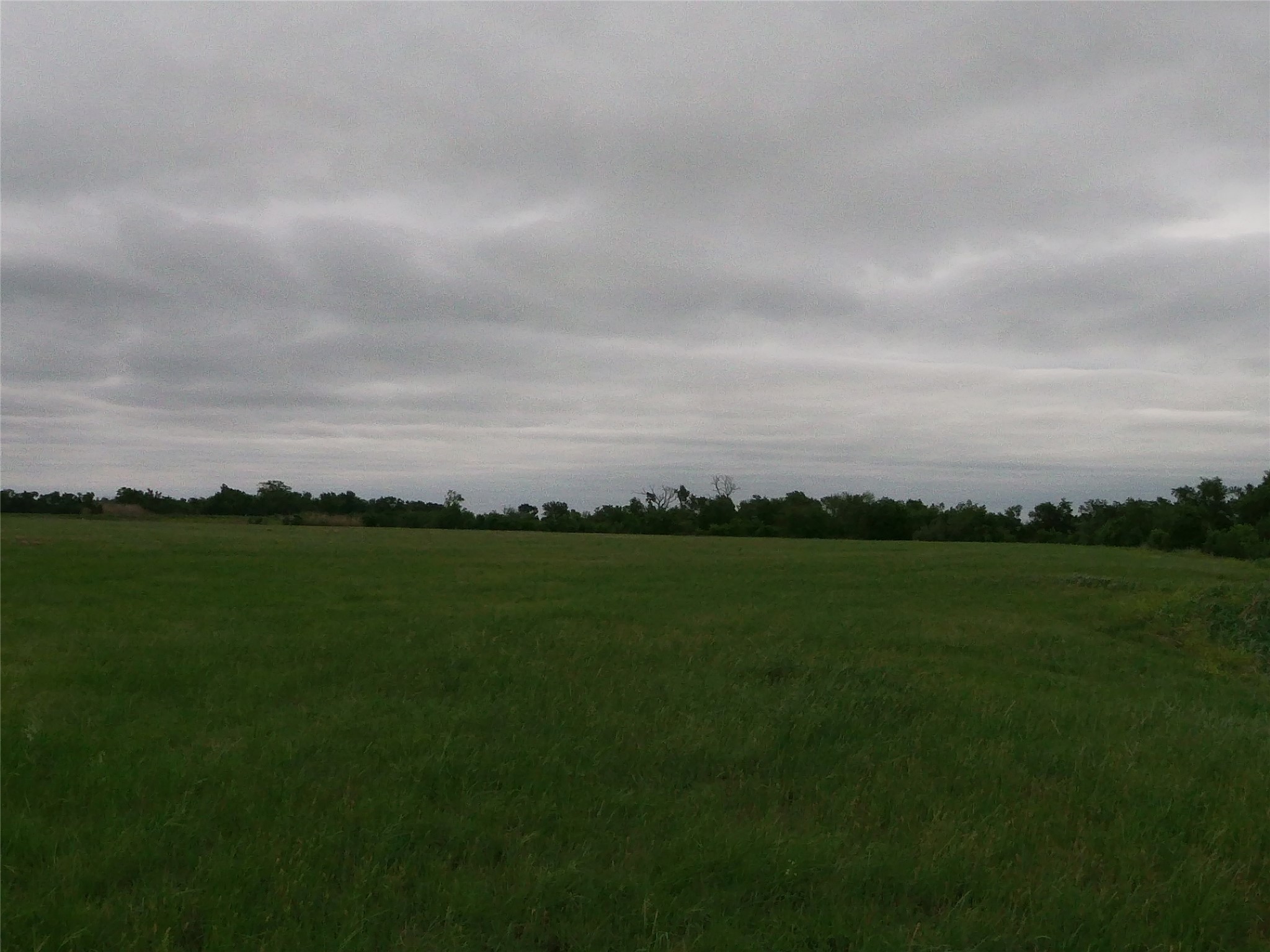 0 Fm 112 Road Thrall, TX 76578 - Photo 17 of 38 a view of a field with clear sky