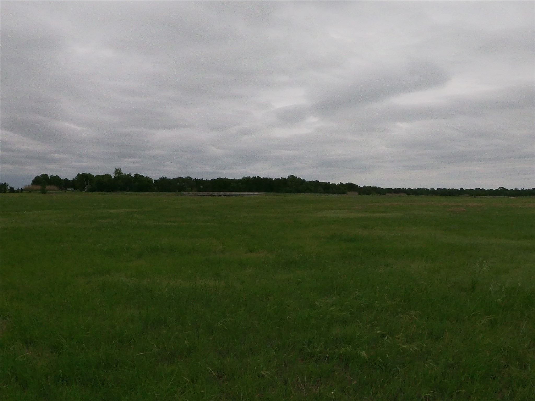 0 Fm 112 Road Thrall, TX 76578 - Photo 18 of 38