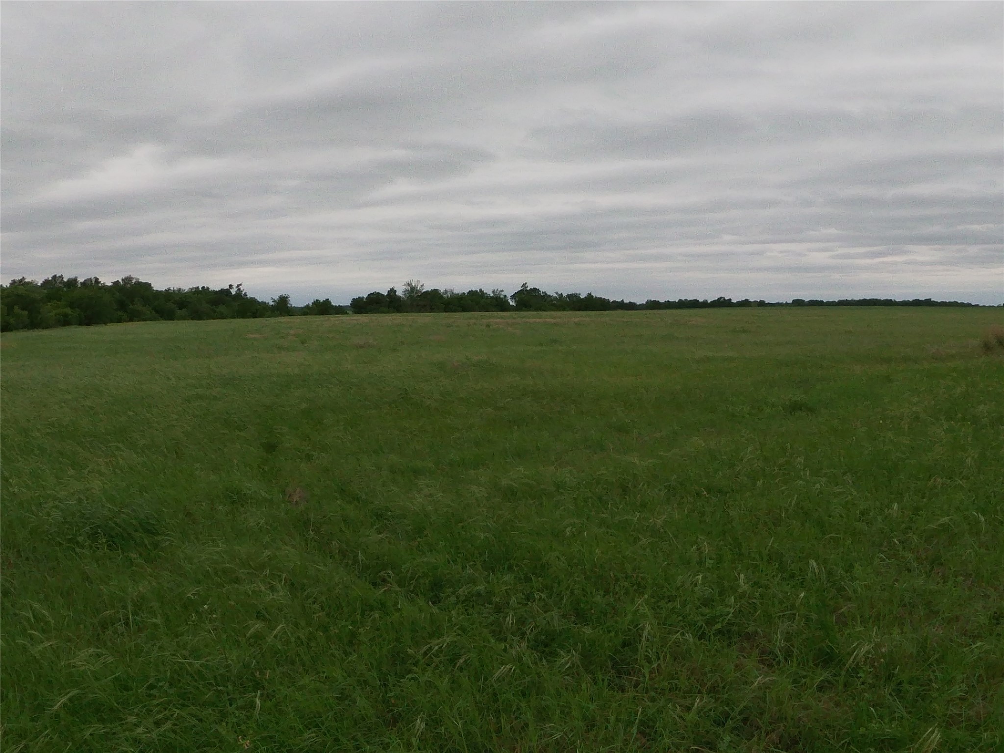 0 Fm 112 Road Thrall, TX 76578 - Photo 19 of 38 a view of a field with grass and trees