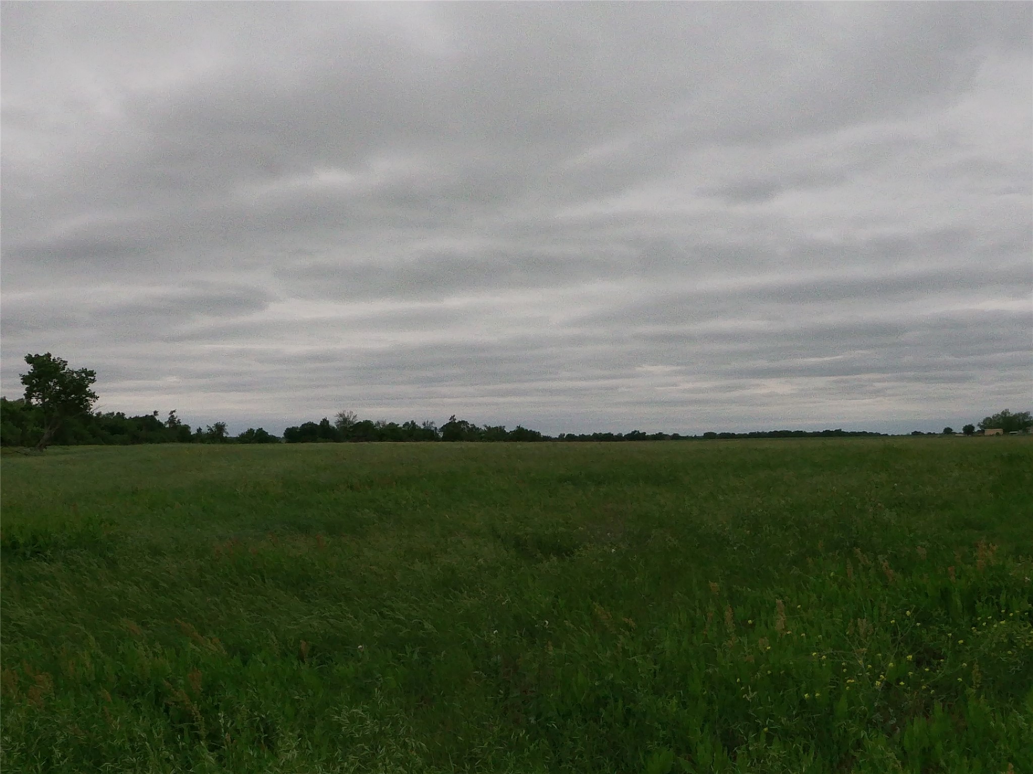 0 Fm 112 Road Thrall, TX 76578 - Photo 21 of 38 a view of a field with grass and a big yard