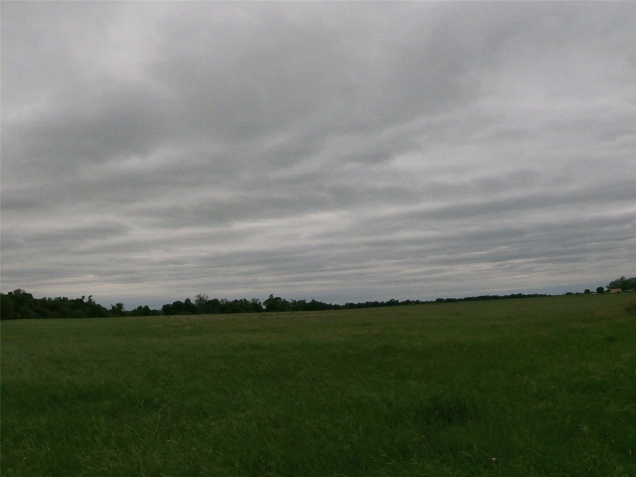 0 Fm 112 Road Thrall, TX 76578 - Photo 22 of 38 a view of a field with grass and trees