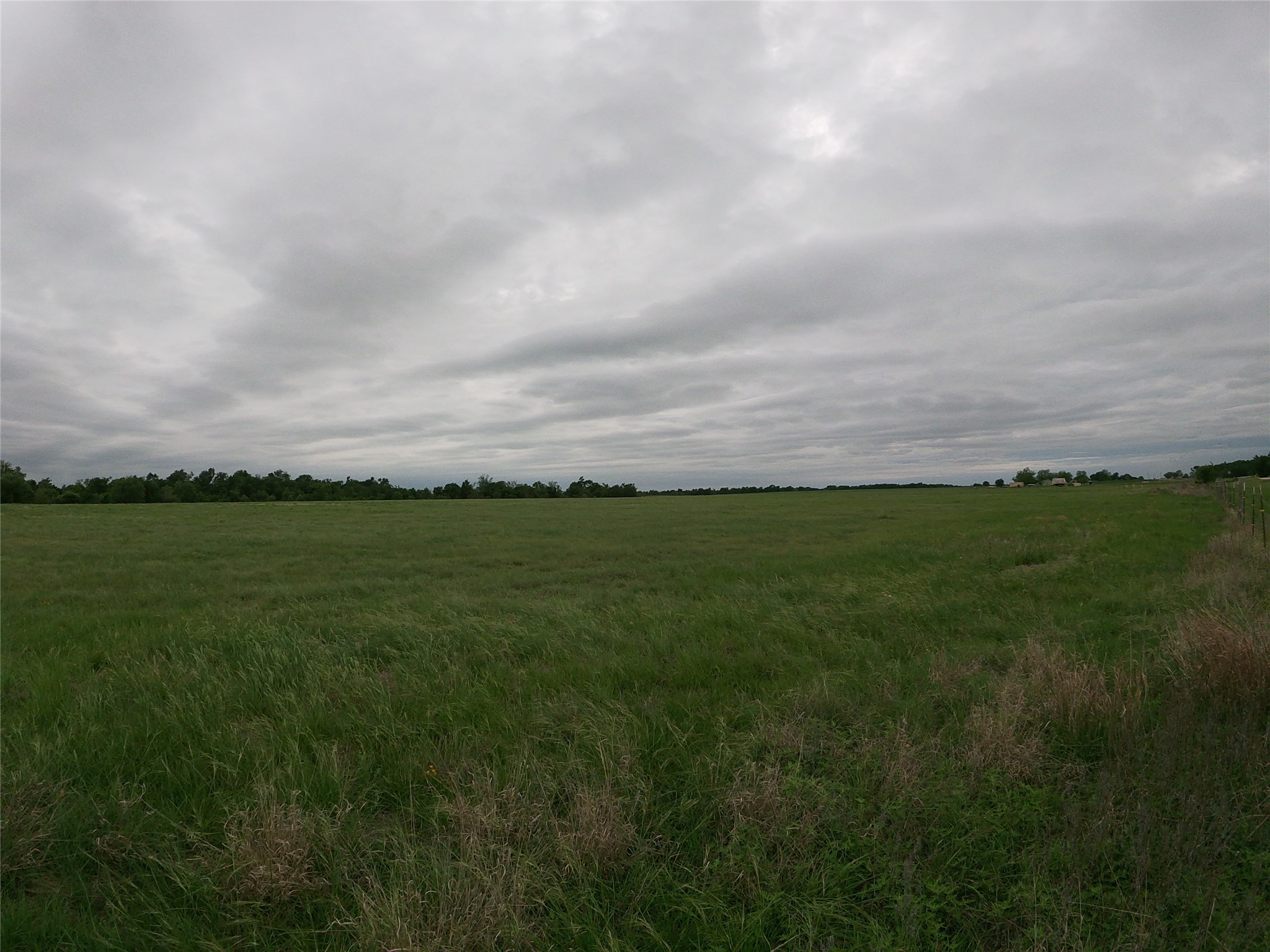 0 Fm 112 Road Thrall, TX 76578 - Photo 23 of 38 a view of a field with an ocean