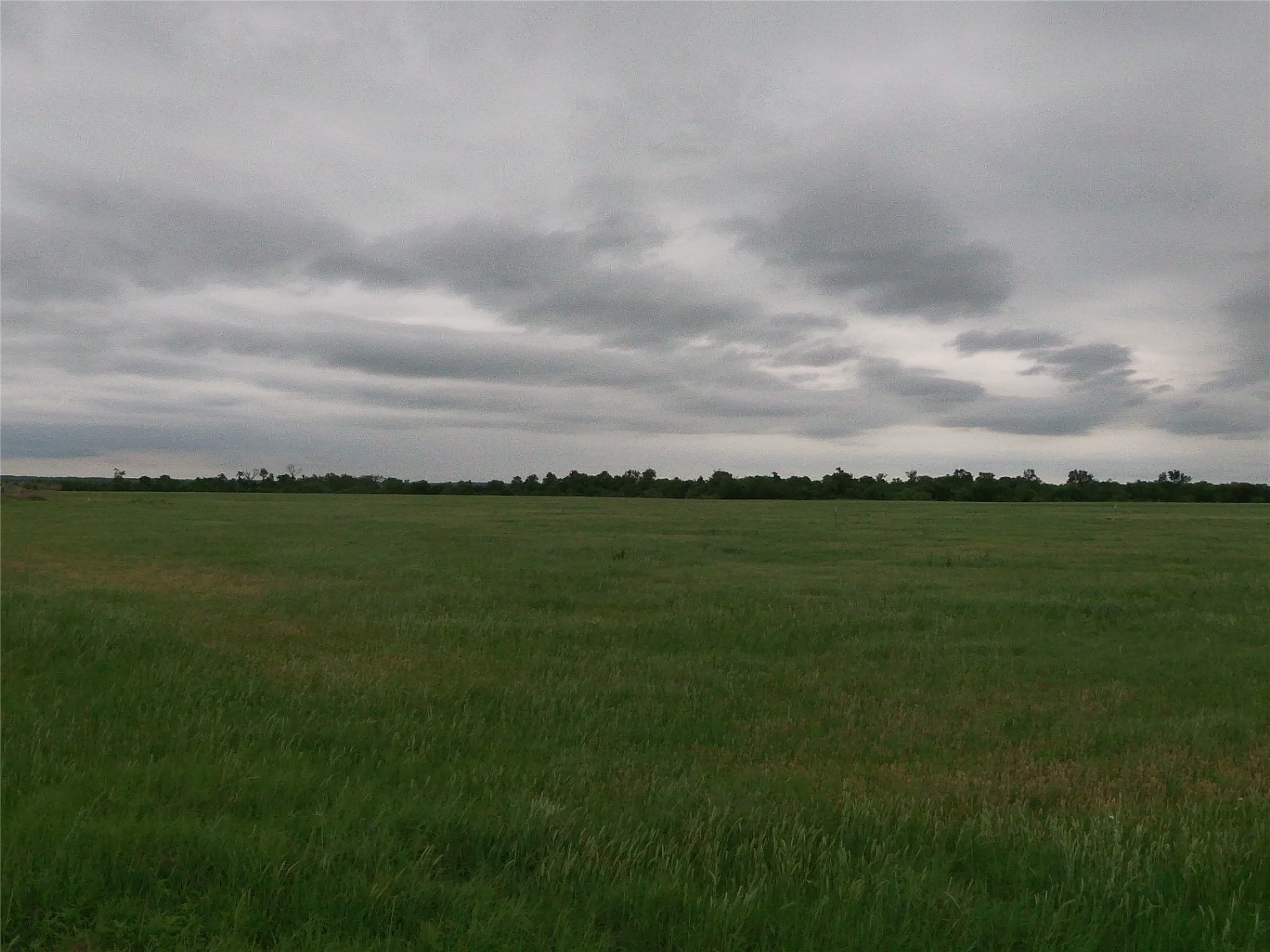 0 Fm 112 Road Thrall, TX 76578 - Photo 26 of 38 a view of a field with outside of the house