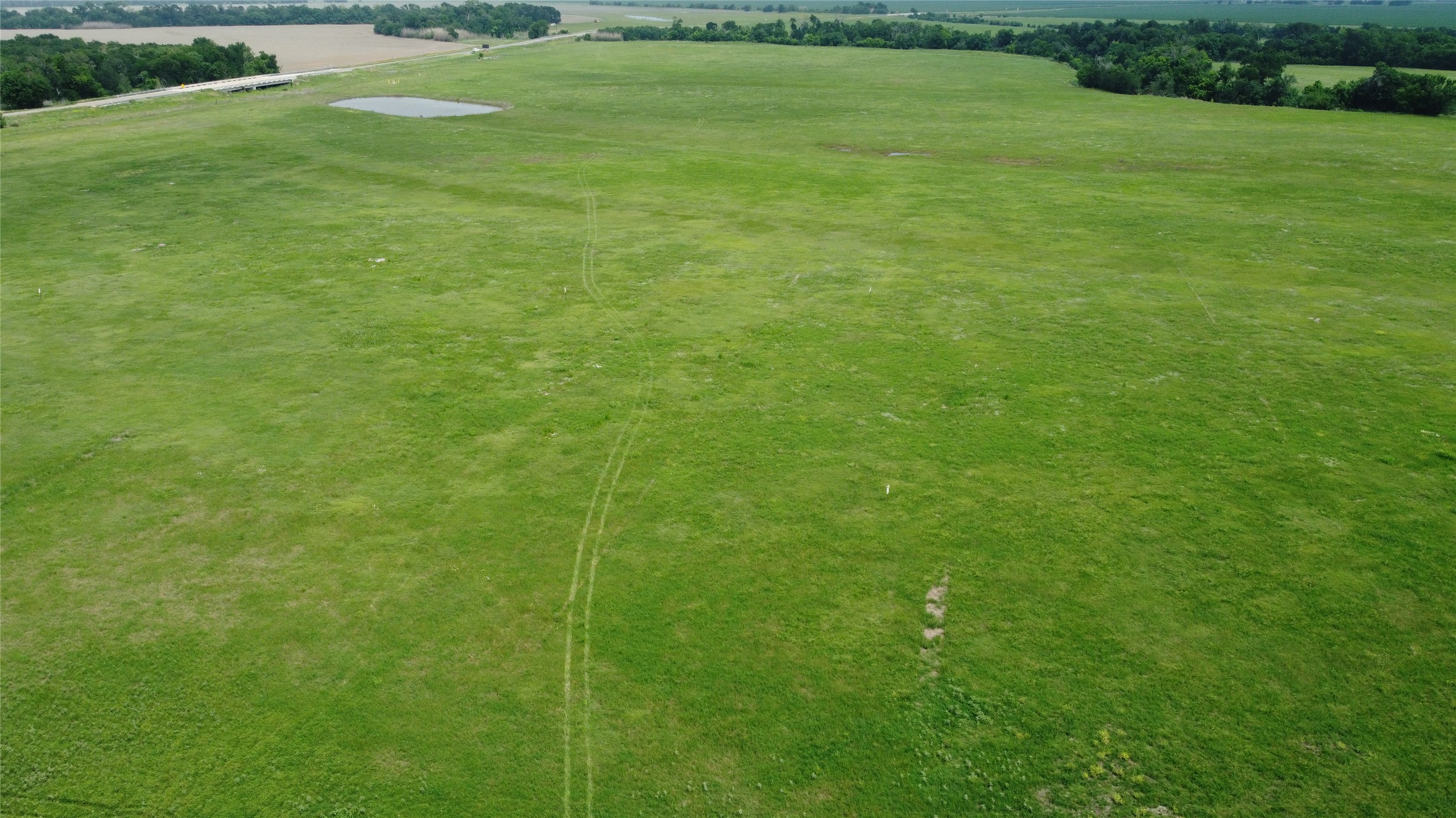 0 Fm 112 Road Thrall, TX 76578 - Photo 4 of 38 a view of a field with an trees