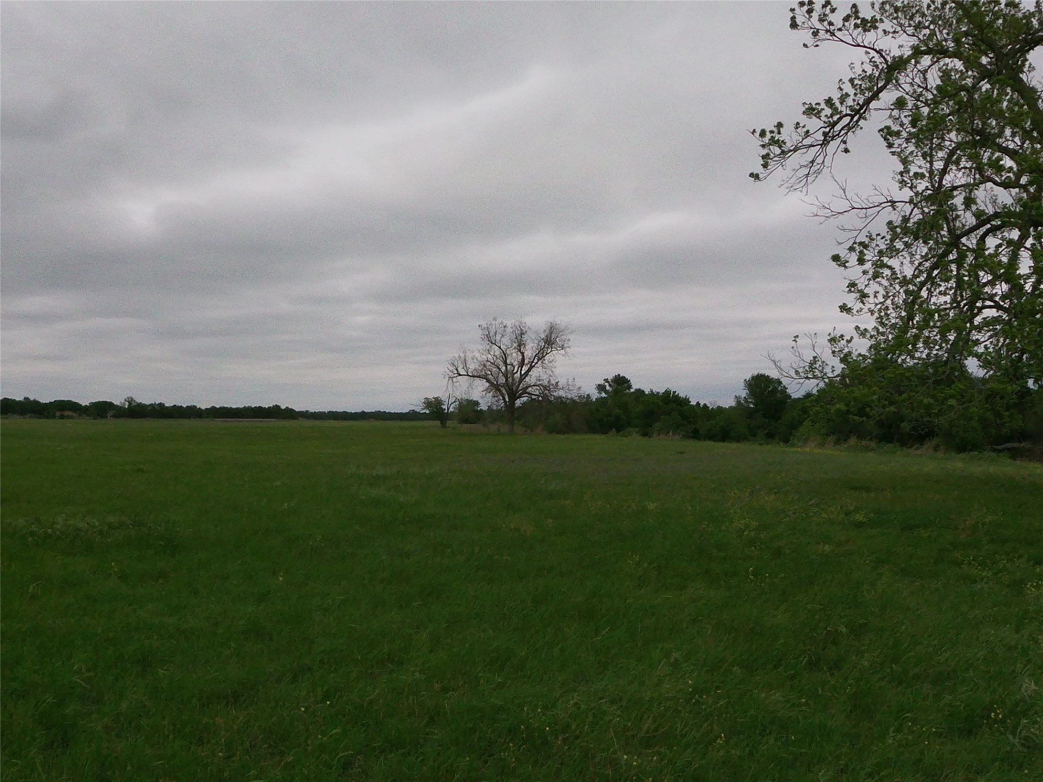 0 Fm 112 Road Thrall, TX 76578 - Photo 7 of 38 a view of a golf course with a lake