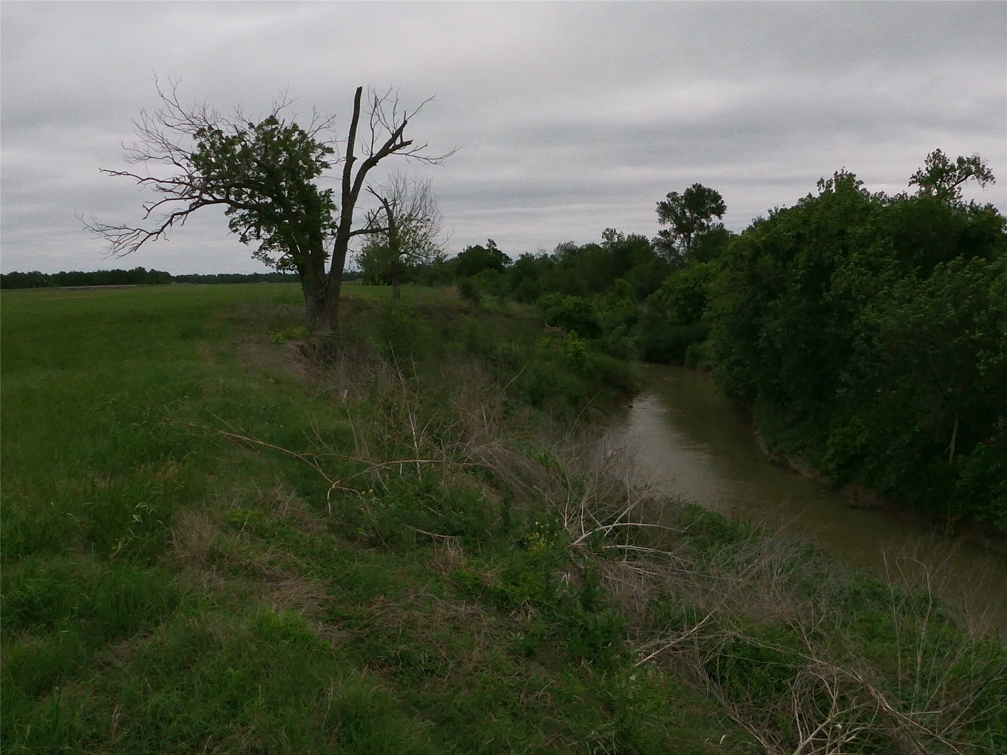 0 Fm 112 Road Thrall, TX 76578 - Photo 9 of 38 a view of a lake with a yard