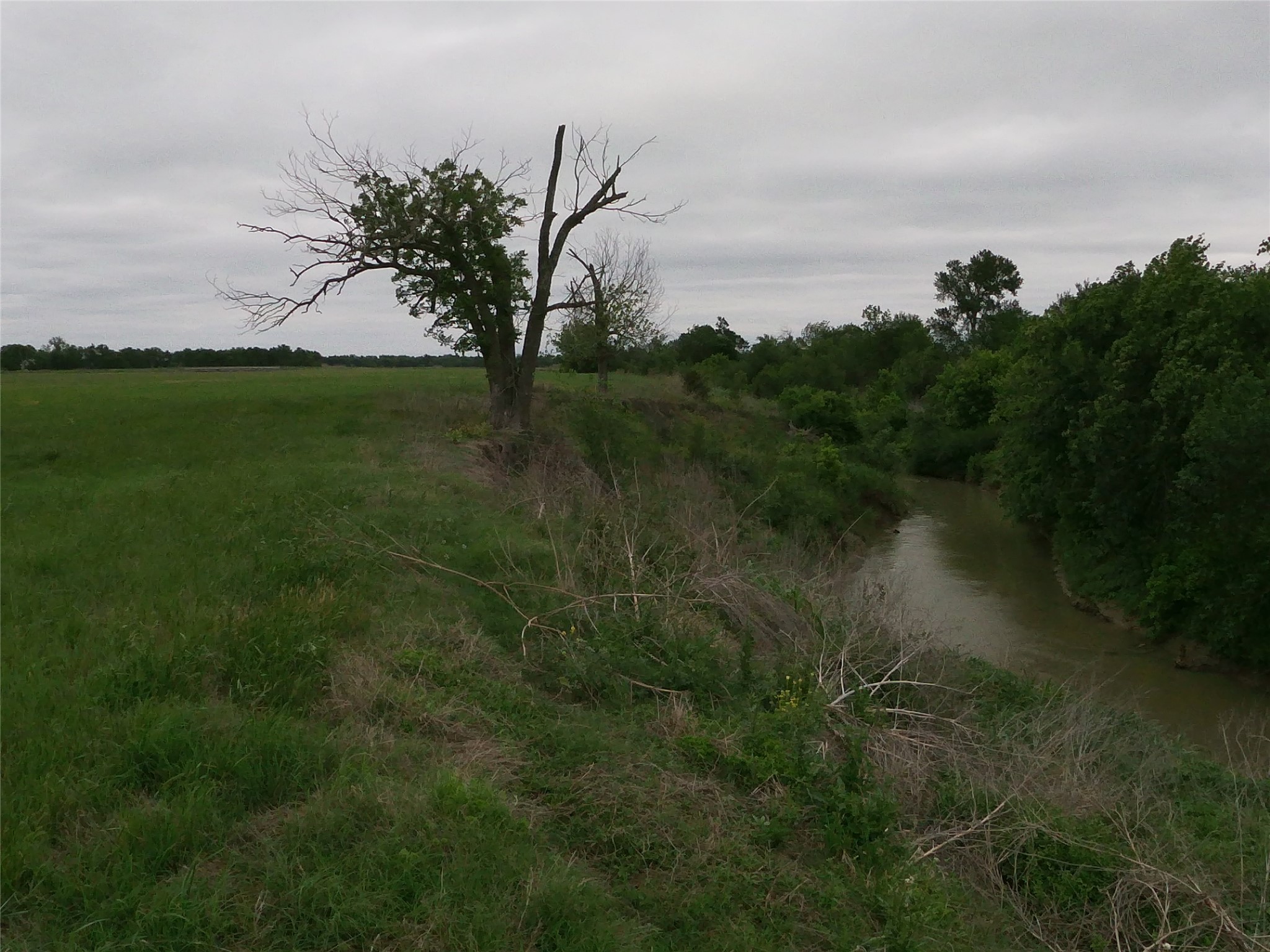 0 Fm 112 Road Thrall, TX 76578 - Photo 10 of 38 a view of a lake with a yard