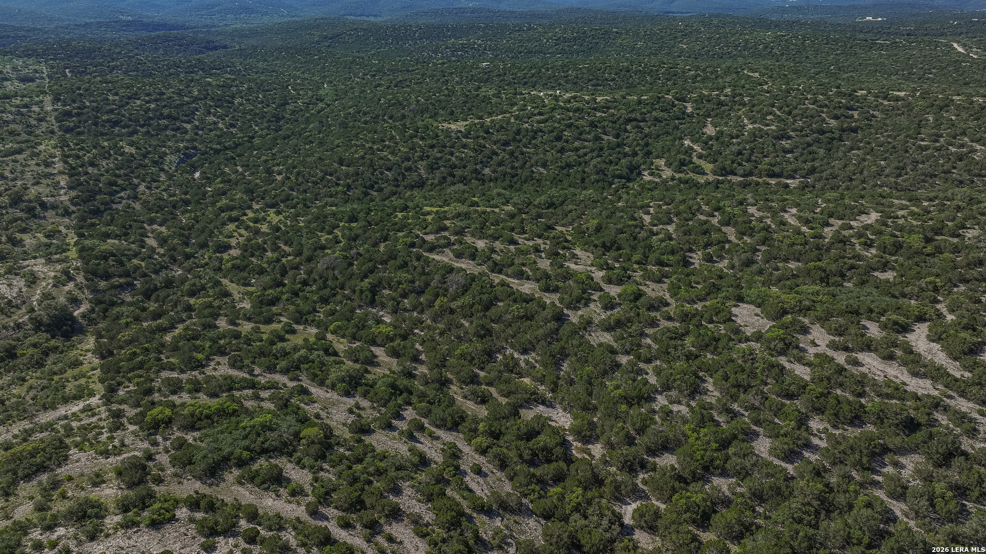 0 Deer Canyons Ranch Rocksprings, TX 78880 - Photo 37 of 39