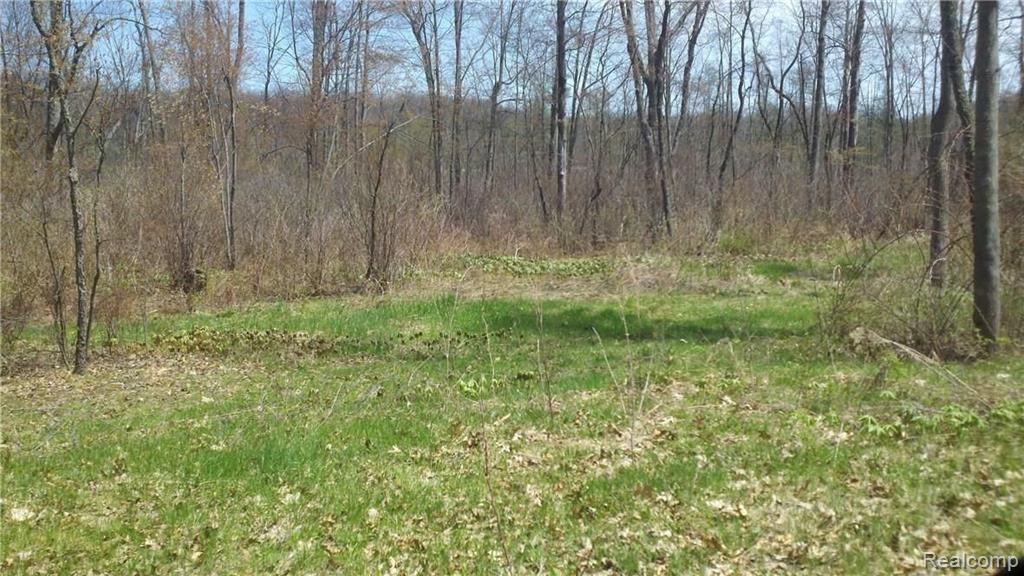V/l V/l Doyle Road Pinckney, MI 48169 - Photo 19 of 24