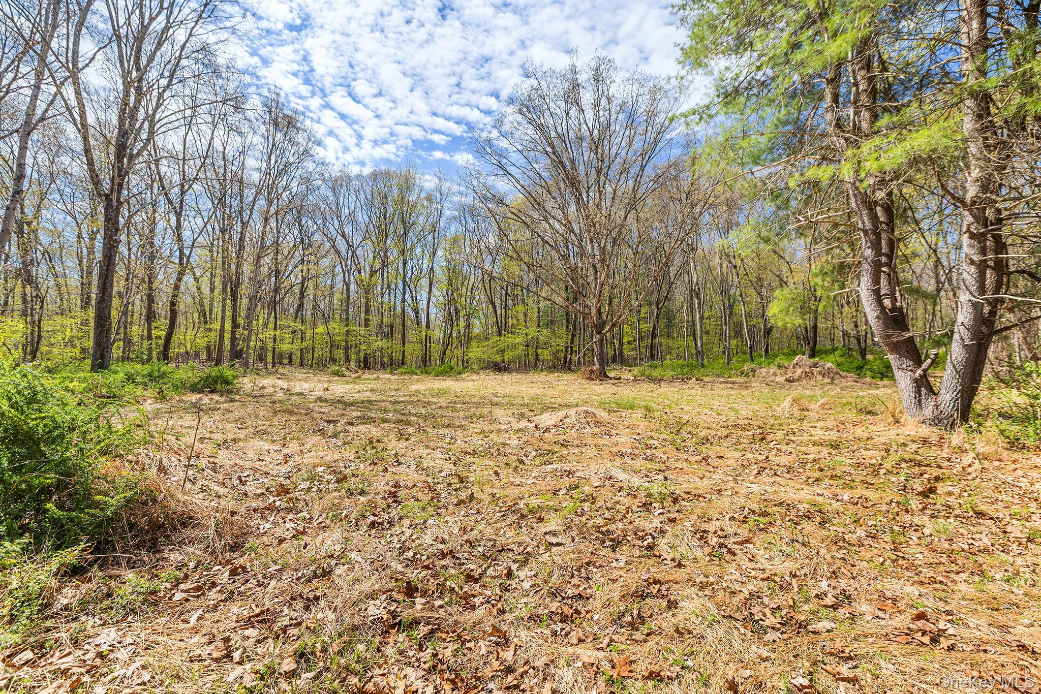 224 Union Center Road Ulster Park, NY 12487 - Photo 1 of 9